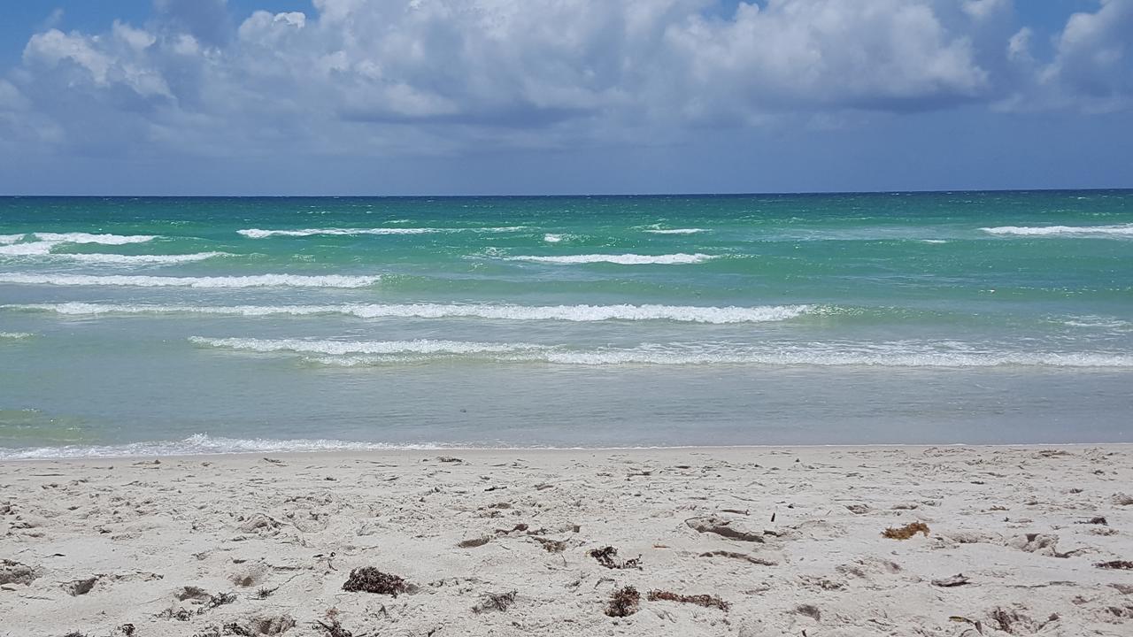 2 Bedroom 2 Bath Beachfront Condo On Miami Beach Millionaire Row מראה חיצוני תמונה